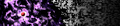 Thumbnail for version as of 07:13, 30 December 2015