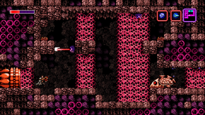 Axiom Verge (1).png