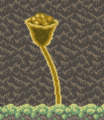 Thumbnail for version as of 00:24, 27 November 2021