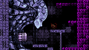 Elsanova orig.png