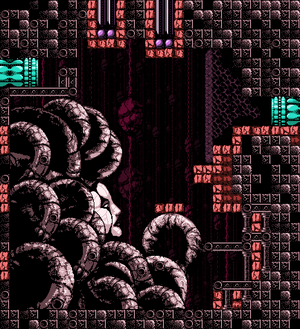 Veruska room.png